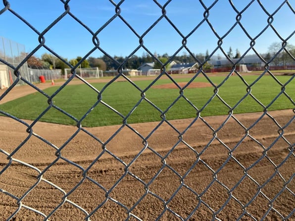 boylethroughthefence